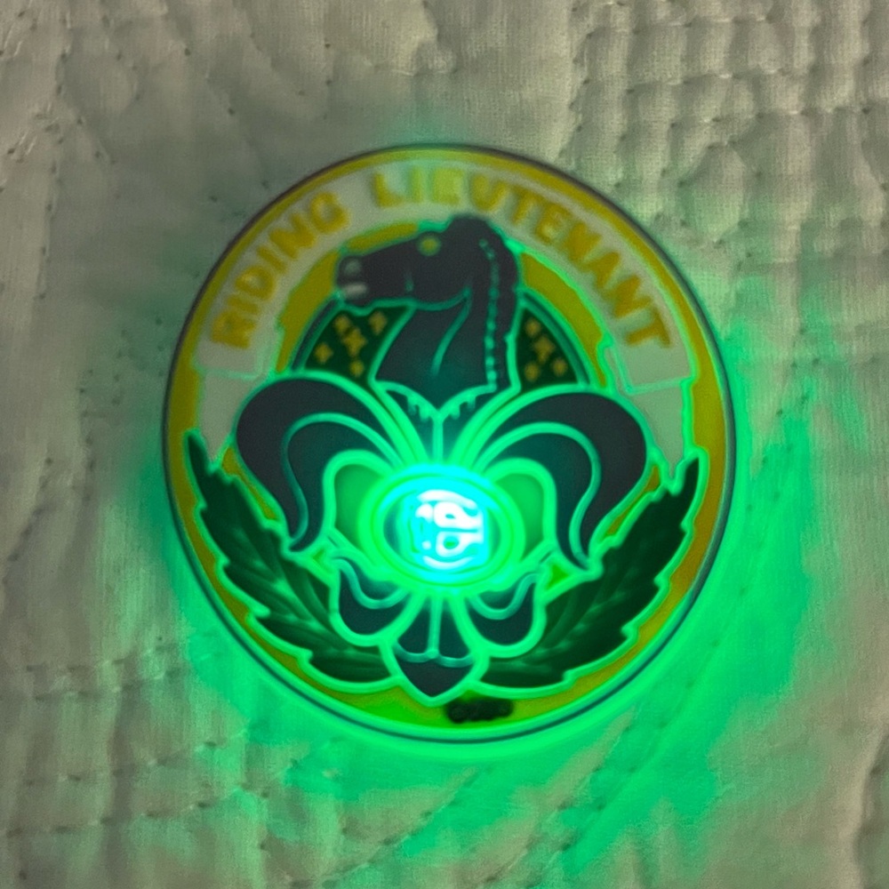 Mardi Gras bundle! Coveted MG throws-Muses shoe, LED wings, stuffy, and more! - Picture 6 of 8